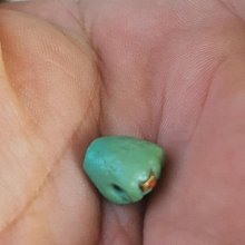 松石鑲嵌羽毛戒指男S925純銀潮流個性印第安風開口指環情侶戒飾品-哈囉好物 歷史價格詳細信息