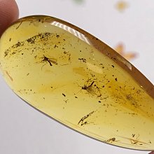 天然蟲珀吊墜（閒魚優品）天然波羅的海蟲珀掛件，重6.1克，兩只飛蟲，清晰完整。可免費打孔，贈掛件繩。本品經閒魚優品驗貨，一物一證，真品保證， 歷史價格詳細信息
