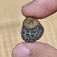 【筋脈疏通】舒壓木質點穴棒-3入組(便攜 養生 點穴棒 保養 筋絡按摩 美容筆 刮痧棒 眼臉按摩) 歷史價格詳細信息