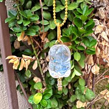 有愛心的巨口鯊(2件組)-女童四角內褲 歷史價格詳細信息