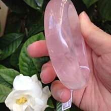 【桃紅款～小資女必備↘↘特價＄１３００】《B2C家電館》【尚朋堂～３人份不銹鋼電鍋】SSC-055RD 歷史價格詳細信息