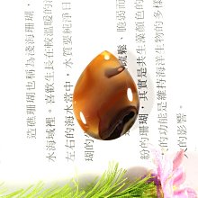 ????精密打磨專屬感⚜Gtm187 改變你愛的磁場，八方雲集從邂逅 異相玉髓個性墬飾，成為你的本命物開始靈動 歷史價格詳細信息
