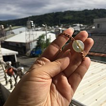 ️????????平安幸福年-養生極品️～巴西蘑菇（凱豐）粉末狀／姬松茸／100%巴西蘑菇子實體【圓仔素健康小舖】 歷史價格詳細信息