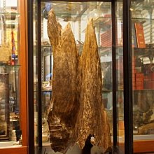 【馨藝香舖】祝壽香塔(無燈款) 螺旋香塔 香塔 貢香塔 神明祝壽 宮廟慶典 還願酬神 歷史價格詳細信息