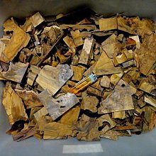 可衣架 肖站 王一博 易烊千璽 任嘉倫 人形衣掛 宿舍惡搞 歷史價格詳細信息