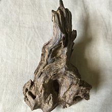 正區野生芽莊沉香～蜜甜果香～花香～ 歷史價格詳細信息