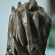 啦啦第一名DVD，#1 Cheerleader Camp，傑葛萊斯比、賽斯卡索，台灣正版全新107/8/31發行 歷史價格詳細信息