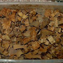 [福田工藝]檀香釘仔瘤閃花水磨聞香念珠佛珠[沈水級]油脂豐厚氣味芳醇16mm13子[檀香釘5] 歷史價格詳細信息