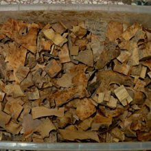 [福田工藝]檀香釘仔瘤閃花水磨聞香念珠佛珠[沈水級]油脂豐厚氣味芳醇16mm13子[檀香釘5] 歷史價格詳細信息