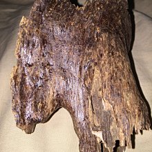 正區野生芽莊沉香～蜜甜果香～花香～ 歷史價格詳細信息