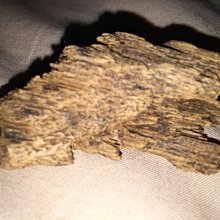 正區富森紅土棋楠沉水根 歷史價格詳細信息