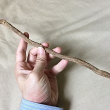 收藏魔人~PS/PS2 (FIST 美少女格鬥) 日原版*有側標 歷史價格詳細信息