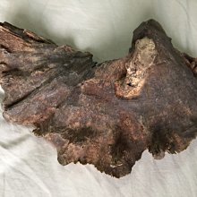 正區野生芽莊沉香～蜜甜果香～花香～ 歷史價格詳細信息