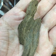 正區富森紅土棋楠沉水根 歷史價格詳細信息