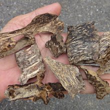 芽莊蟲漏沉香粉【周錦香】越南正區 花香 奶香 蜜香【網路特惠】(煎香 沉粉 淨香末 貢末 煙供 淨粉 薰香 香道) 歷史價格詳細信息