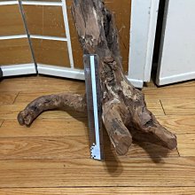 老樹上的小鳥[二手書_良好]2987 TAAZE讀冊生活 歷史價格詳細信息