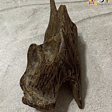 沉水~加里曼丹沉香雕件【周錦香】牡丹鯉魚 富貴有餘 約14.36g【入水即沉】(加里萬丹 沉香 吊飾 吊墜 水沉香) 歷史價格詳細信息