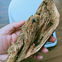 安排殼 x mik可愛聯名冬加厚珊瑚絨睡衣長版睡袍浴袍家居服女 歷史價格詳細信息