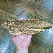 野生會安大殼碎塊料/整塊都是油脂/48g 歷史價格詳細信息