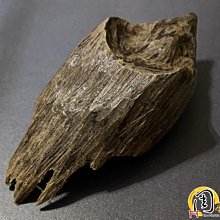 沉水~加里曼丹沉香雕件【周錦香】牡丹鯉魚 富貴有餘 約14.36g【入水即沉】(加里萬丹 沉香 吊飾 吊墜 水沉香) 歷史價格詳細信息