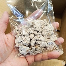 現貨整包100個三通PY氣動氣管快速接頭高壓快插氣缸配件8mmY型對接 歷史價格詳細信息