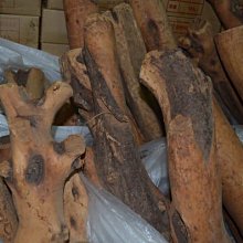 西北官話單字調合併現象研究 衣莉 2019-12-25 知識產權出版社 歷史價格詳細信息