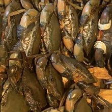 菲律賓印尼電腦顯示屏 18.5 19 22寸臺式液晶顯示器電腦監控器 歷史價格詳細信息