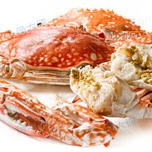 ????SE094 男士純棉平角內褲/低腰/緊身/U凸性感（滿599免運） 歷史價格詳細信息