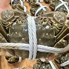 兩公約第三次國家報告獨立評估意見 監察院 五南文化廣場 政府出版品 歷史價格詳細信息