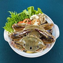 活力滿格 短袖 t恤 情侶裝短袖 小煤球 可愛衣服 正韓短袖 oversize t恤 純棉短袖 韓系衣服 白t 上衣-MINTS名仕男裝 歷史價格詳細信息