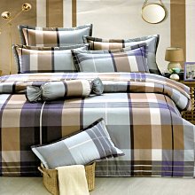 M.I.T精梳純棉 特大鋪棉床罩兩用被五件組 F191【芃云生活館】 歷史價格詳細信息