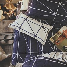 絲薇諾 棉被 / 雙人(拜占庭)極暖科技羽絲絨被(3.2Kg) (180×210cm) 歷史價格詳細信息