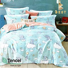 【BEST寢飾】頂級拉舍爾加厚雙層毯 150x200cm  多款任選 歷史價格詳細信息