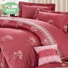 天蠶雙10人份雙304不鏽鋼內鍋及304不鏽鋼高鍋蓋套裝組 歷史價格詳細信息