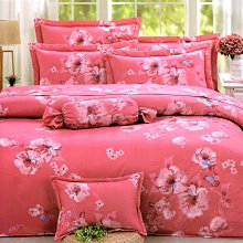 M.I.T精梳純棉 特大鋪棉床罩兩用被五件組 F191【芃云生活館】 歷史價格詳細信息