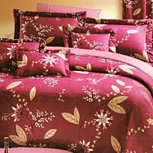 標準雙人床罩組五尺六件式純精梳棉-動物星球-台灣製 Homian 賀眠寢飾 歷史價格詳細信息