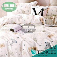 §同床共枕§TENCEL100%天絲萊賽爾纖維 單人3.5x6.2尺 鋪棉床罩舖棉兩用被五件式組-仰星星 歷史價格詳細信息