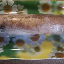 鮮鮮～～神鑰~1-16～～作者:聿暘～ 歷史價格詳細信息