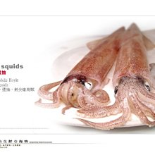 【水汕海物】澎湖海捕 急凍 巨無霸砲管透抽 中卷 單隻重500g up 野生海捕 厚實超鮮甜 。『實體店面、品質保證』 歷史價格詳細信息