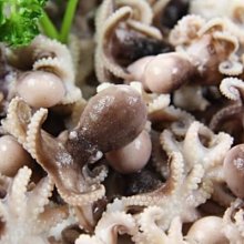 【年菜系列】生凍去殼松葉蟹腳(21-25p)/約550g(淨重400g) 歷史價格詳細信息