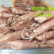 天人菊澎湖名產品興(花枝排)油炸 歷史價格詳細信息