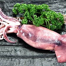 【噴墨家族系列】台灣東北角活凍小卷(透抽)5隻/約300g±5%~活體急速冷凍，鎖住鮮甜好滋味 歷史價格詳細信息