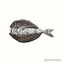 瓜魚側濾水族箱周轉箱蘭壽泰獅小魚缸過濾器內置水泵培菌凈水靜音 歷史價格詳細信息