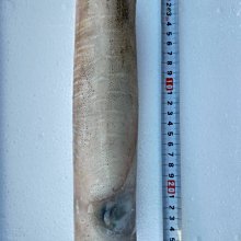 桃園海鮮之家【宏嘉花枝丸】顆顆都有花枝肉，優惠1包3公斤：470元。 歷史價格詳細信息