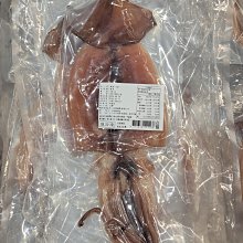 魷魚一夜乾（中尾300克1份）小卷乾 一夜乾～車輪牌鮑魚罐頭、干貝、花菇、刺参、魚翅南北貨禮品 歷史價格詳細信息