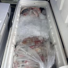 船釣八字環外掛 yo-zuri優至力 外掛八字環 別針堅若磐石原產好康優選 歷史價格詳細信息