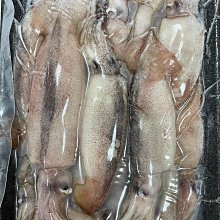 【噴墨家族系列】台灣東北角活凍小卷(透抽)5隻/約300g±5%~活體急速冷凍，鎖住鮮甜好滋味 歷史價格詳細信息