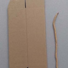 一次性牛皮紙手提袋餐飲外賣打包帶服裝購物袋規格多樣 歷史價格詳細信息