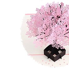 +卡賓小白鞋男款鞋子薄款板鞋夏季透氣男鞋輕便網鞋男士休閑軟底鞋 歷史價格詳細信息