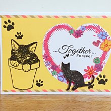 黑一，愛藏金標50EPQ。219 歷史價格詳細信息